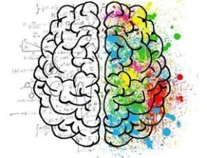 This is a drawing picture of a brain. One half is black and white and has a cloud of mathematical and scientific symbols around it. representing the thinking logical part of the mind. The other half is splattered with colours (reds, yellow, blues and greens) and symbols like music notes. This represents the creative part of the mind. The picture is being used to support the explanation of Hypnosis Trance .