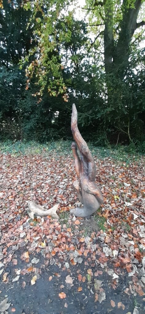 This sculpture is of an upside down otter hunting for the fish. It is carved from wood and is in light brown. The otter is upside down because it depicts an otter diving to the bottom of a river bed hunting for fish. Next to the otter is a wooden fish. The sculpture is abou1 meter high and is part of the sculptures in Stanton Park. The sculpture is from the Every Cloud charity.