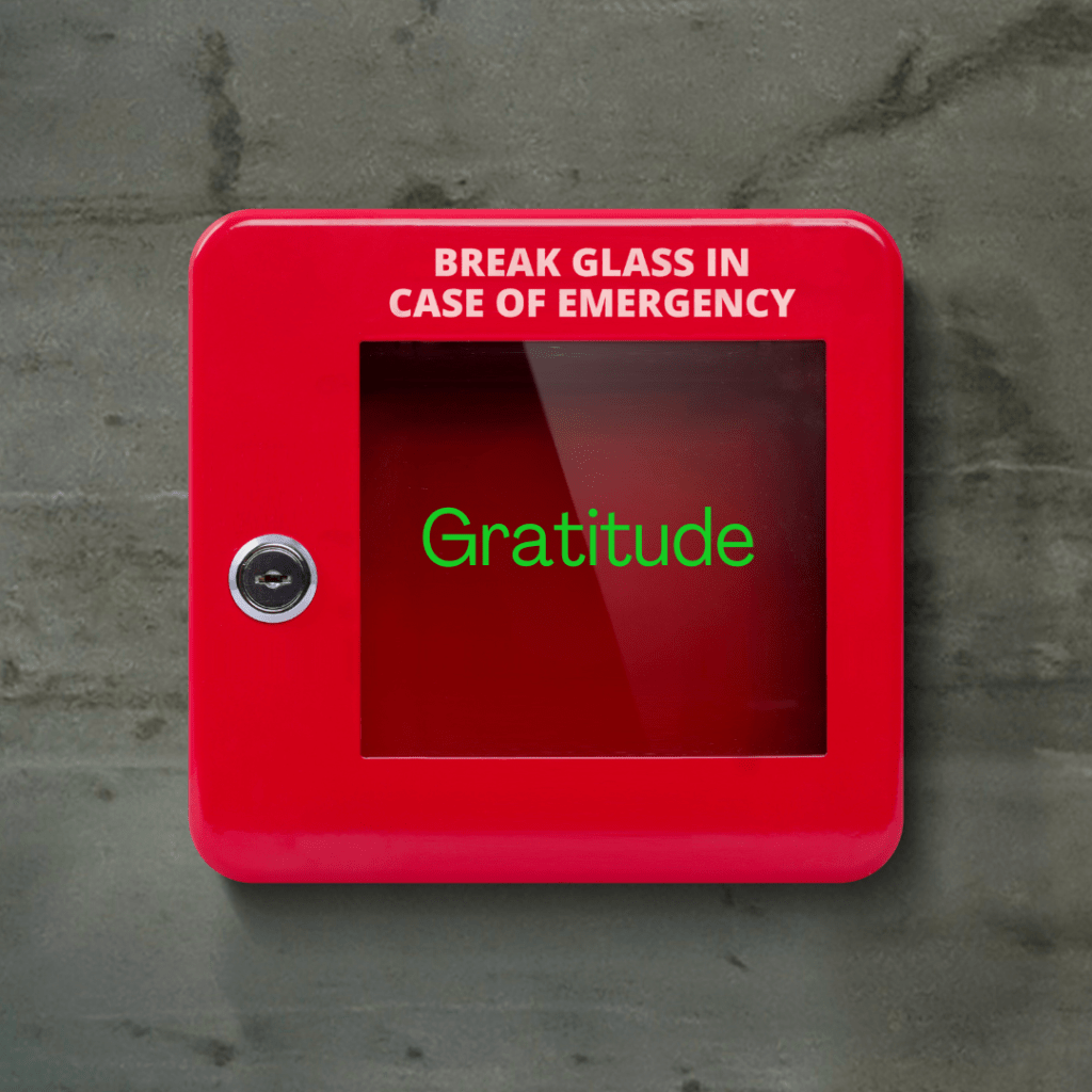 This is a picture of a classic British fire alarm push button. Its bright red and has the words "In case of an emergency break glass". On the glass window is the green word Gratitude. 