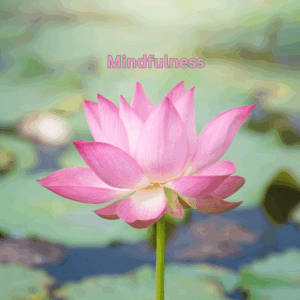 On a hazy blue green background that represents a lily pond there is a vivid pink lily at the centre of the screen. Above it in pink outlined writing is the words Mindfulness. The purpose of the picture is to draw attention to the flower and all its detail. Focused attention is part of mindfulness.